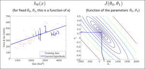 constfunctionintuition1100