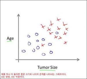 tumor4