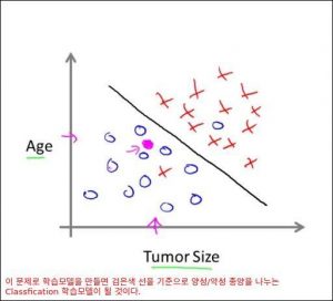 tumor6