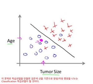 tumor6