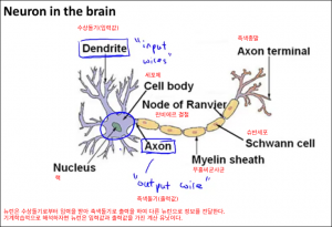 neuralnetworks0100