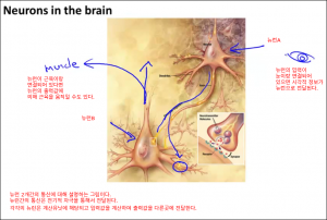 neuralnetworks0200